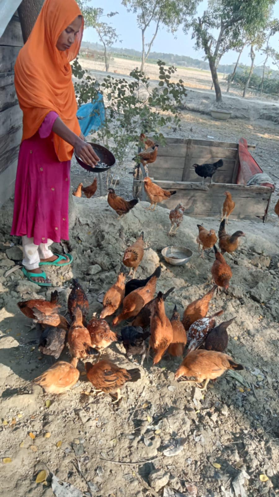 Nurunnahar’s Journey: Empowering Change Through Sustainable Farming
